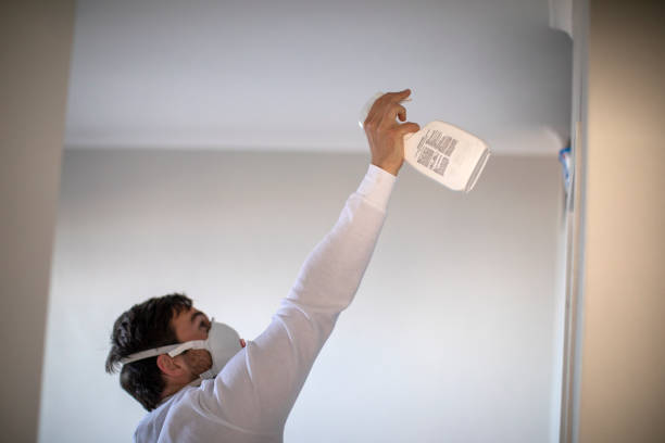 Best Home Mold Removal  in El Cenizo, TX