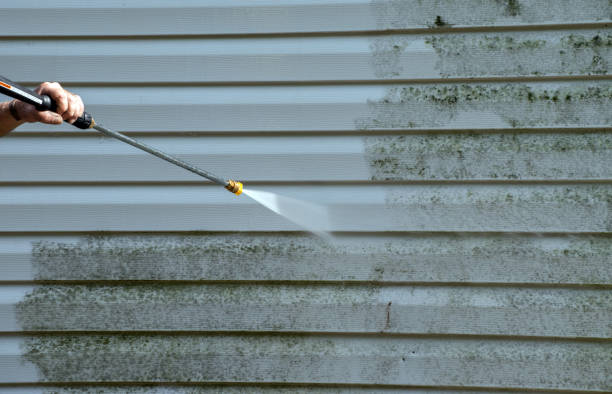 Attic Mold Removal in El Cenizo, TX